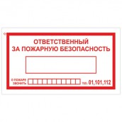 Знак вспомогательный "Ответственный за пожарную безопасность", 250х140 мм, пленка самоклеящаяся, 610049/В43