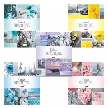 Тетрадь А5, 96 л., HATBER, скоба, клетка, обложка картон, "BEAUTIFUL COLOURE" (микс), 046858, 96Т5В1